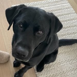 Meet your Posher, Beth